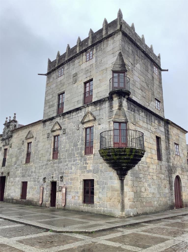 imagen principal Palacio de Fefiñanes (Albariño)