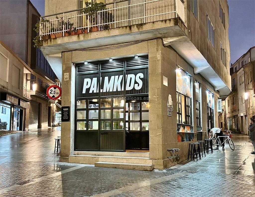 imagen principal Palmkids