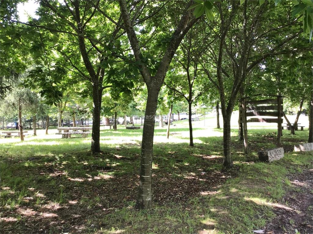 imagen principal Parque Forestal Bandeira