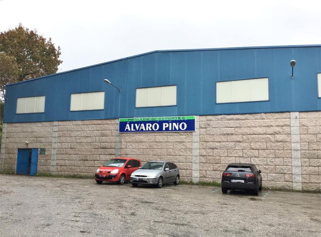 imagen principal Pavillón de Deportes Álvaro Pino