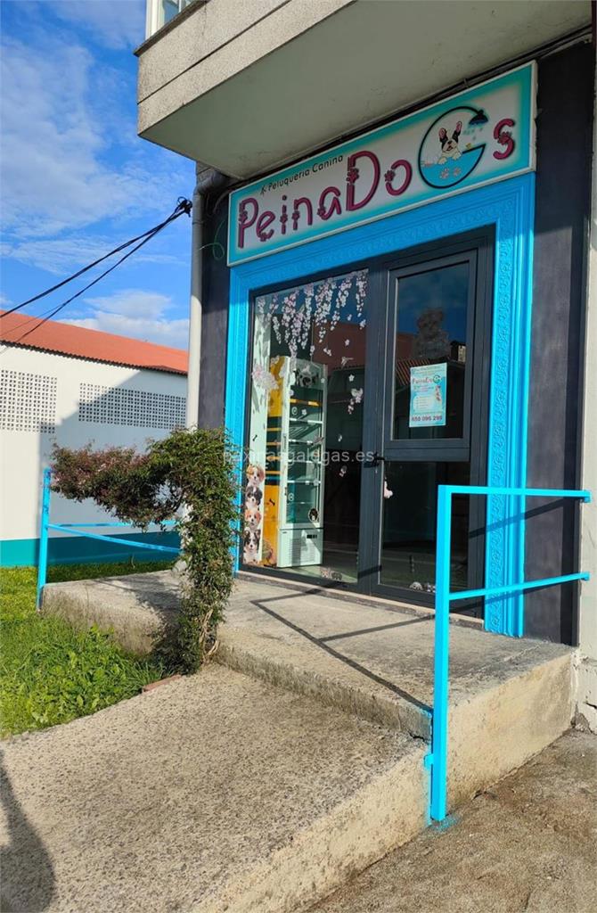 imagen principal PeinaDoGs