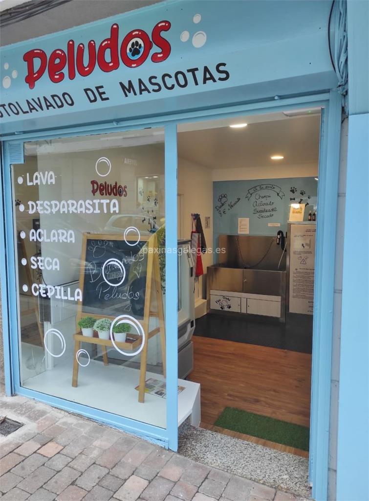 imagen principal Peludos