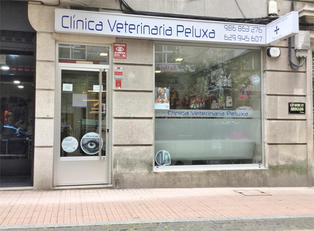 imagen principal Peluxa