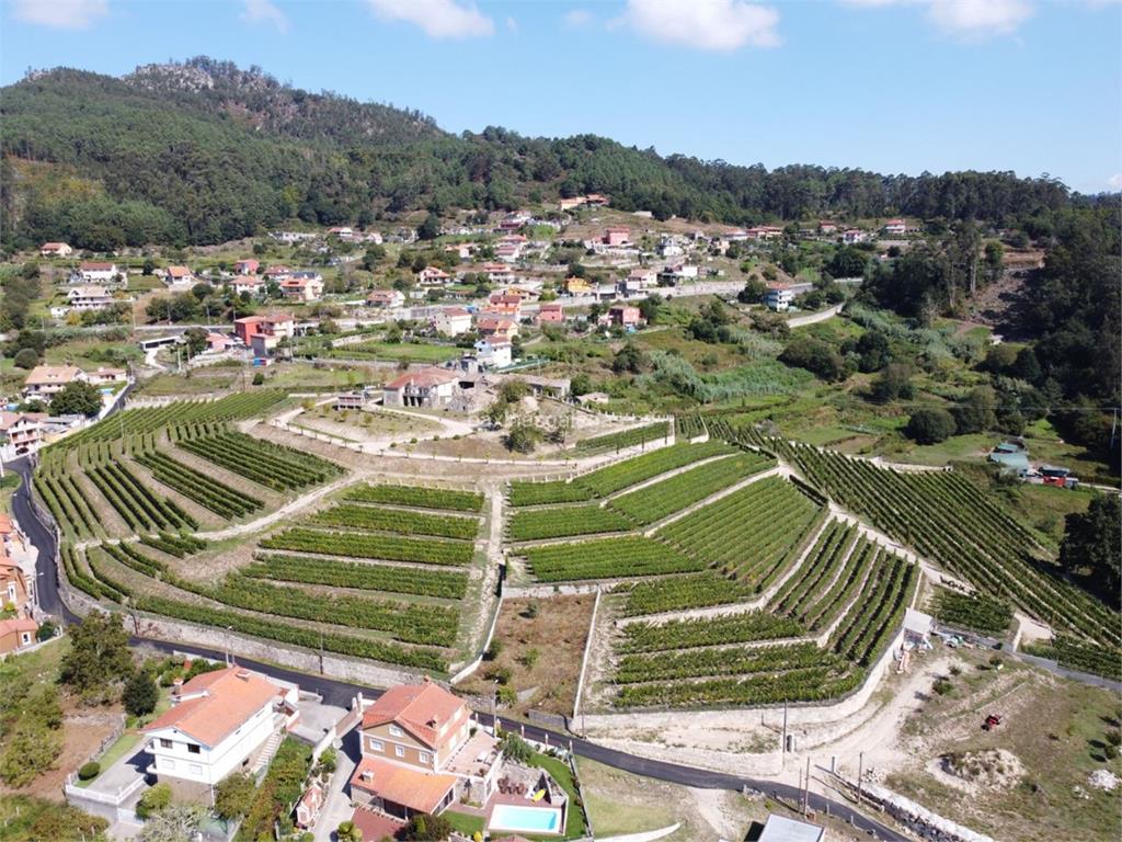 imagen principal Pentecostés