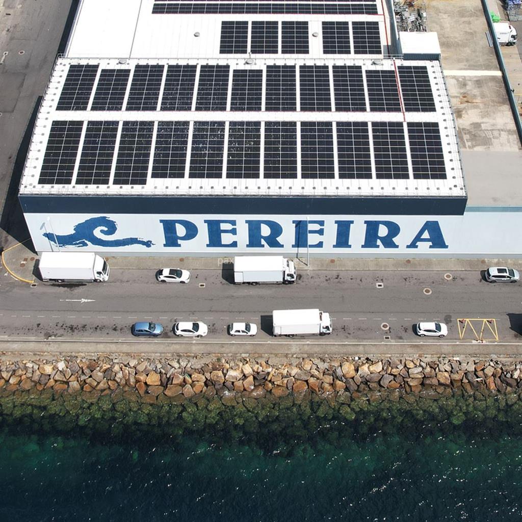 imagen principal Pereira