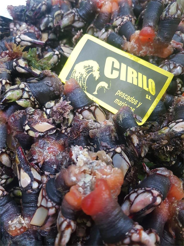 imagen principal Pescados y Mariscos Cirilo