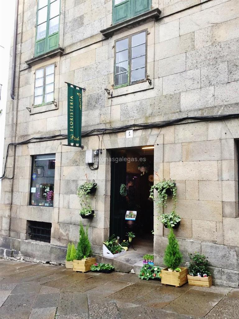 imagen principal Pétalos