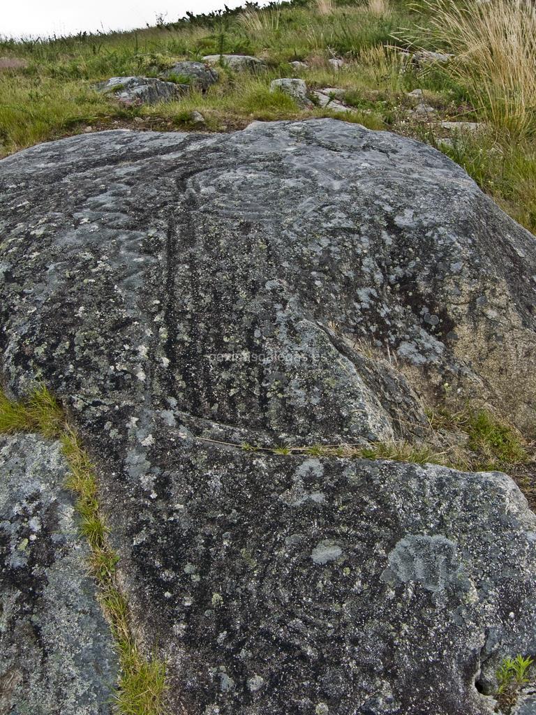imagen principal Petroglifo A Pedra da Serpe