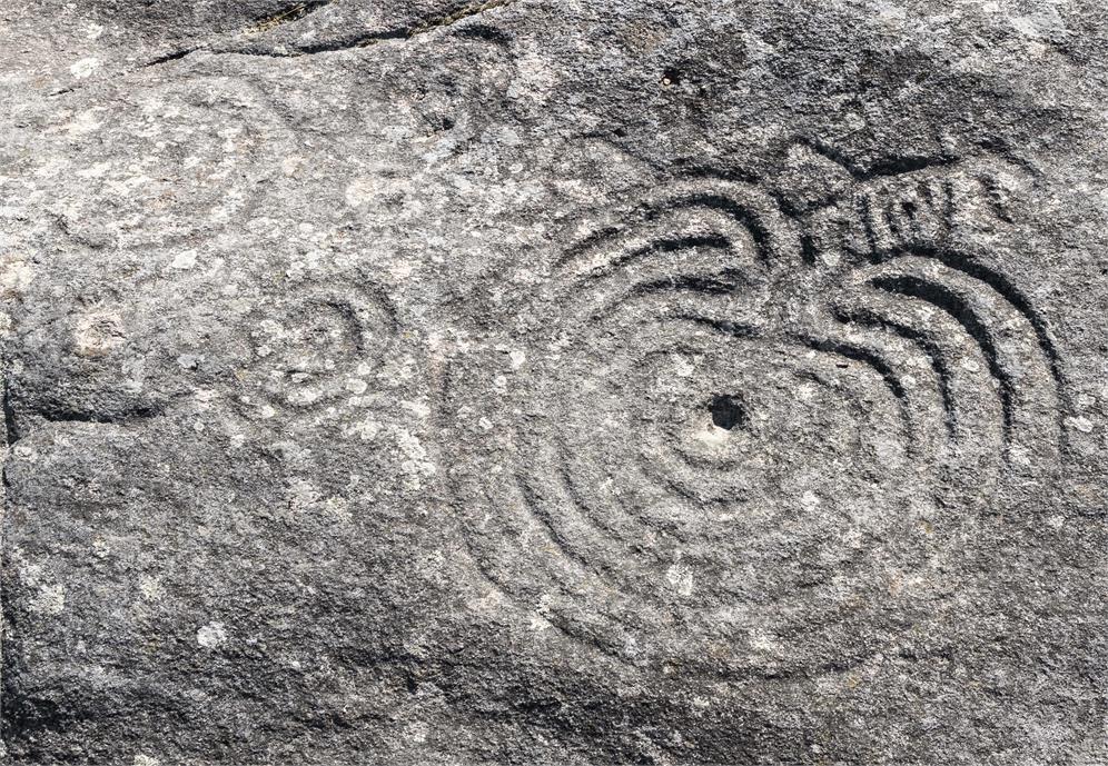 Conjunto completo en Campo Lameiro – múltiples figuras, cazoletas y escenas complejas