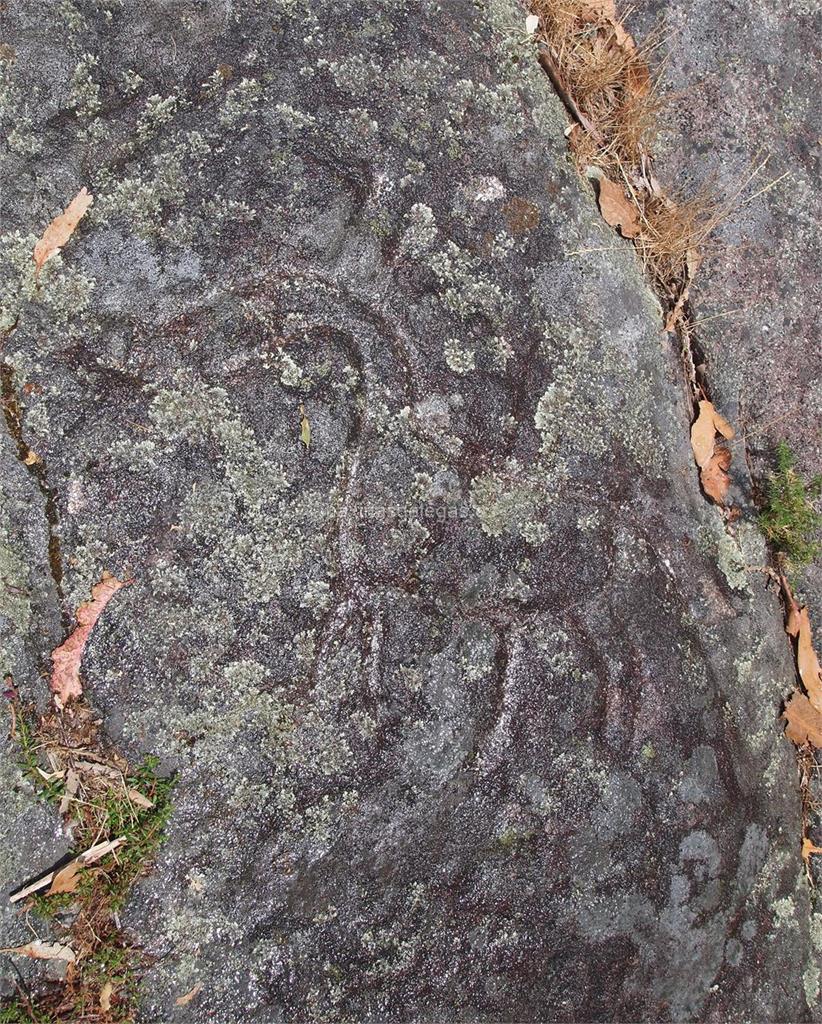 imagen principal Petroglifos da Pedreira