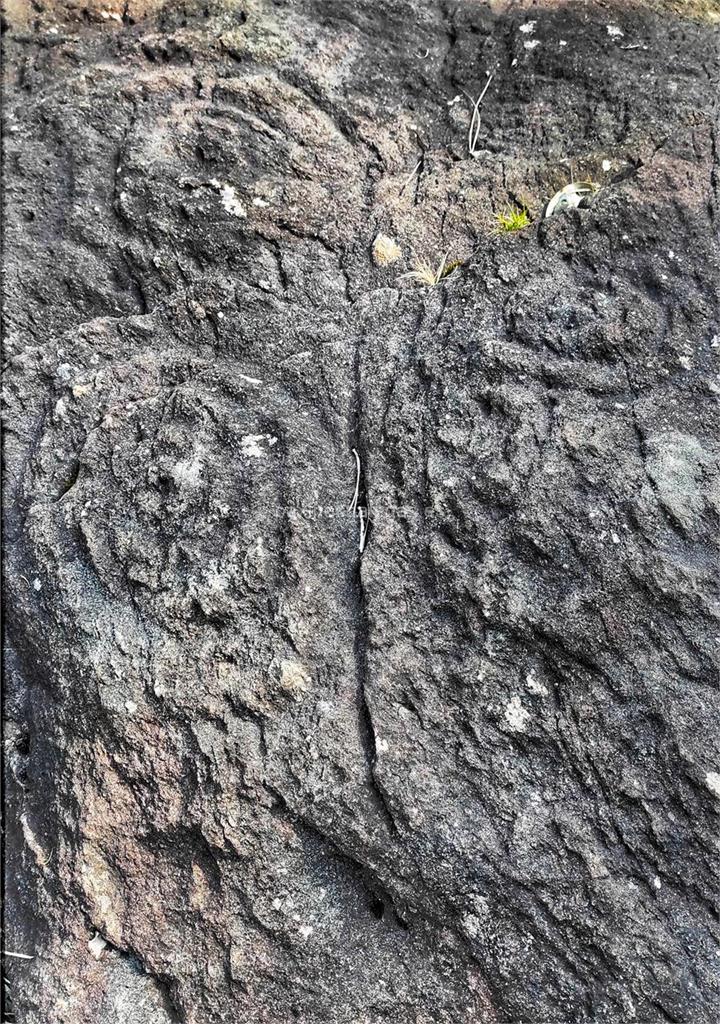 imagen principal Petroglifos do Ghorghalado