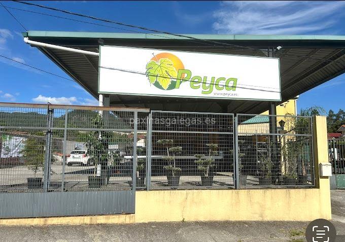 imagen principal Peyca