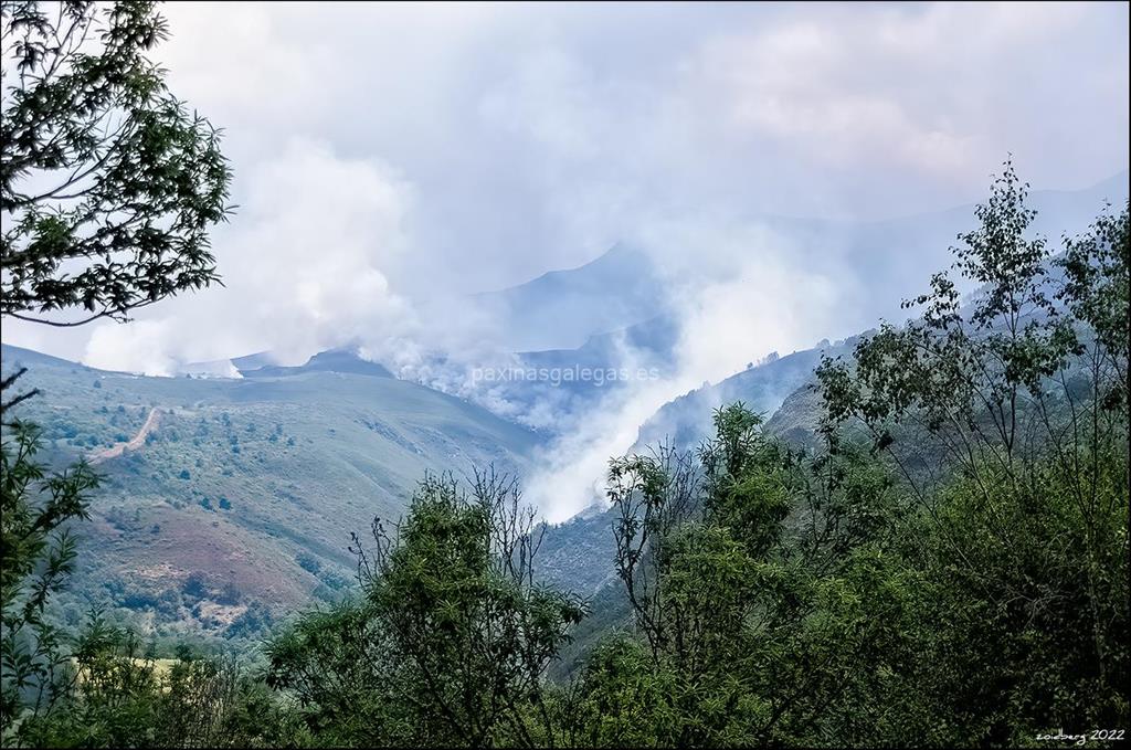 imagen principal Pico Pía Páxaro