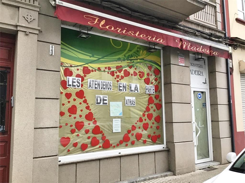 Floristería Pili Madeira