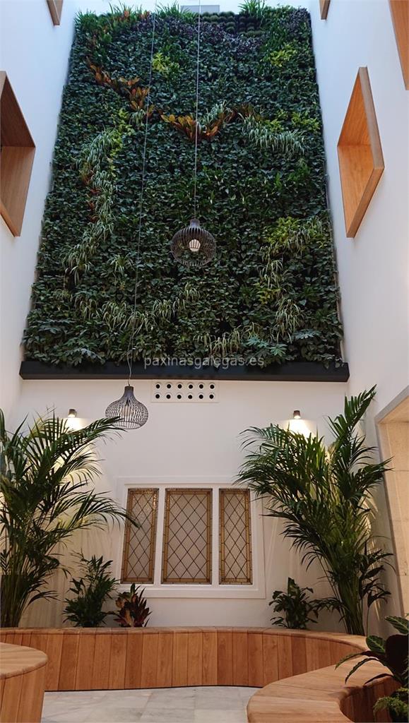Píntega Xardíns, S.L. imagen 7