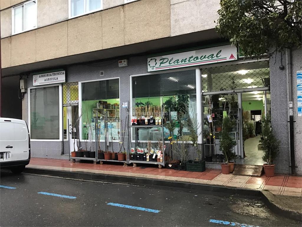 imagen principal Plantoval