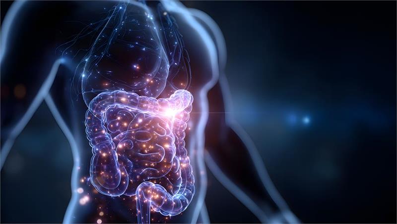 Imagen del epígrafe