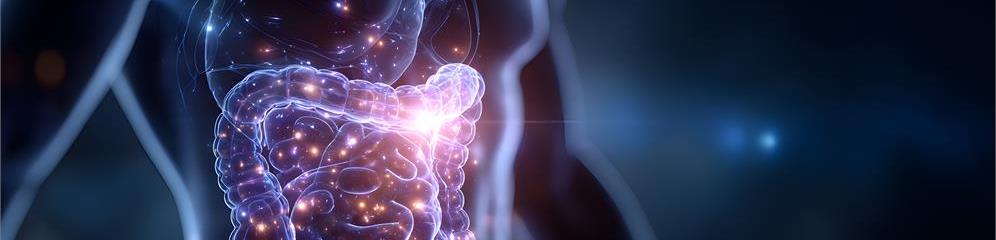 PNI - Psiconeuroinmunología en Galicia