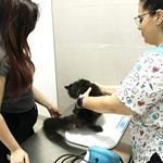 Foto de la empresa (4)