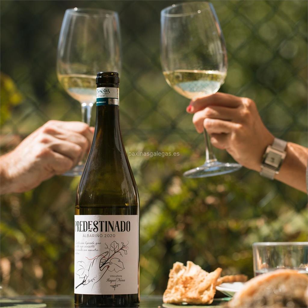 imagen principal Predestinado (Albariño)