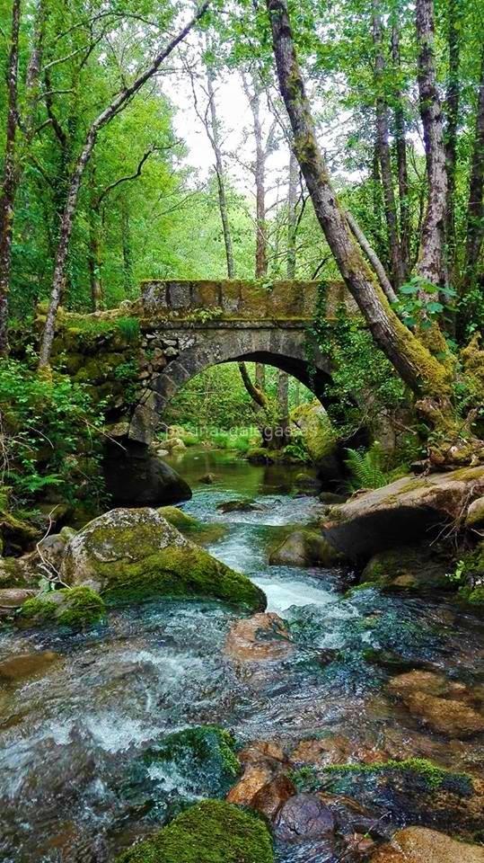 imagen principal Puente de Freáns