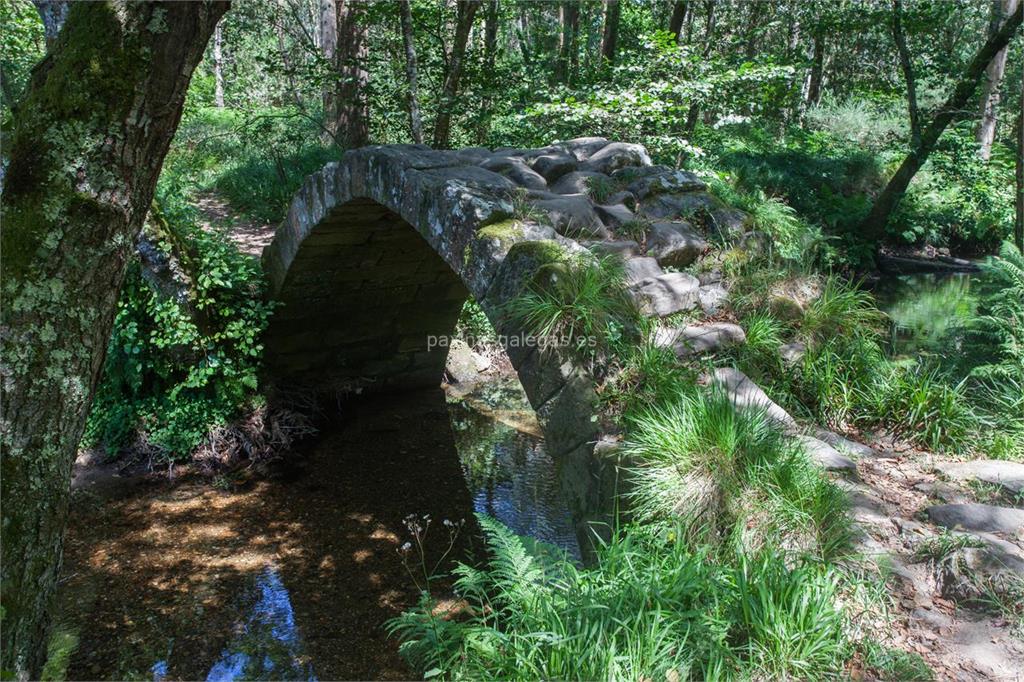 imagen principal Puente del Rio Sieira