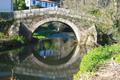 imagen principal Puente Medieval de Roibeira