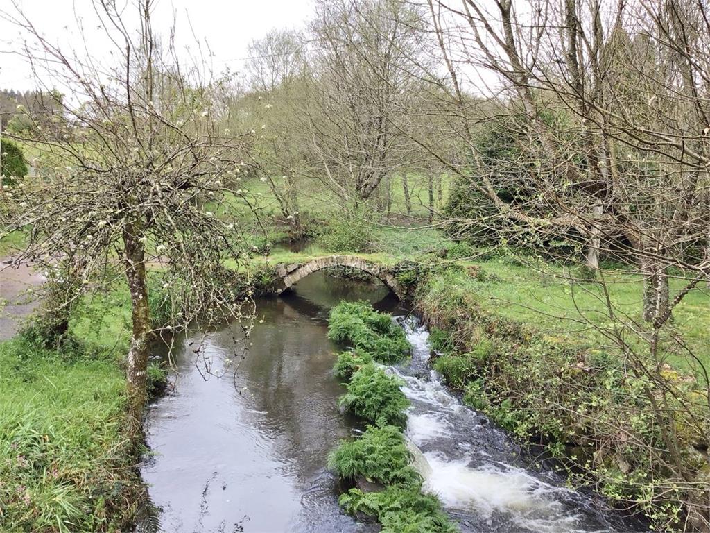 imagen principal Puente Romano de Ferreira