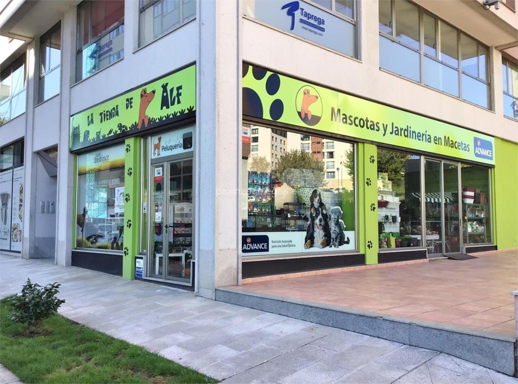 imagen principal Punto de Recogida Nacex.shop (La Tienda de Alf)