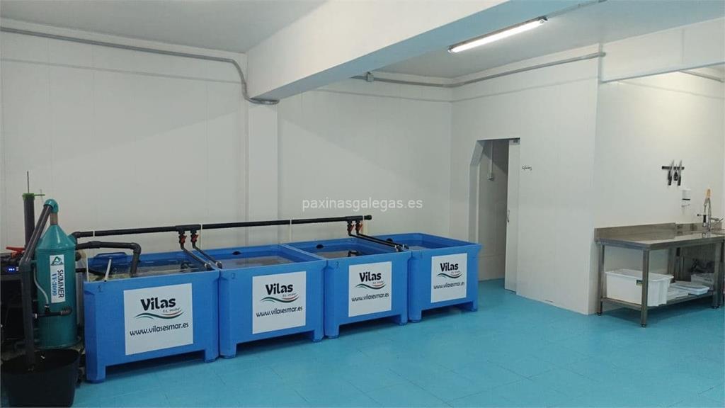 imagen principal Punto de Recogida Nacex.shop (Vilas es Mar)