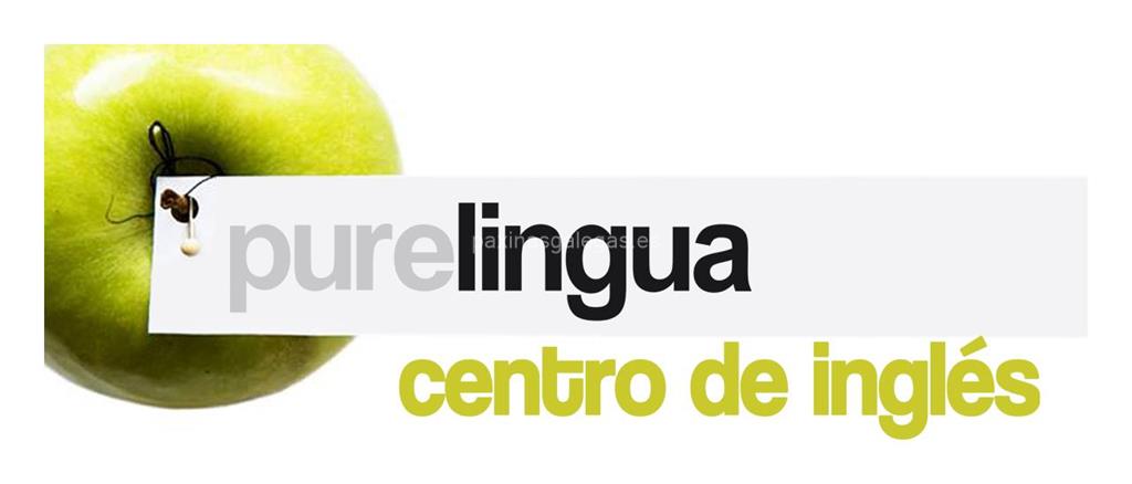 logotipo Purelingua Centro de Inglés