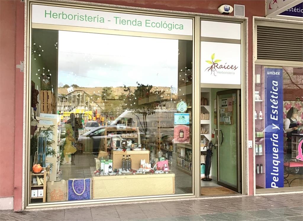 imagen principal Raíces