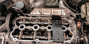 Foto de la empresa (3)