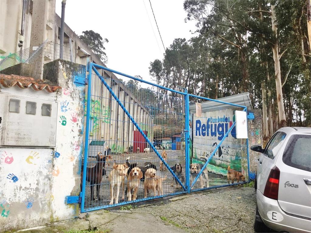 imagen principal Refugio de Animales de Cambados 