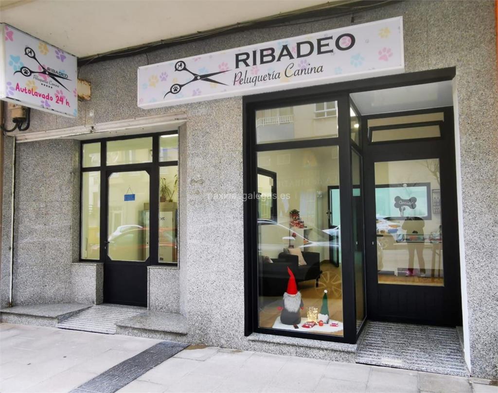 imagen principal Ribadeo