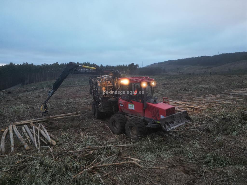 Rolle Forestal imagen 18