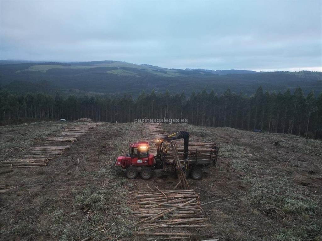 Rolle Forestal imagen 19