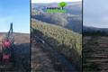 video corporativo Rolle Forestal