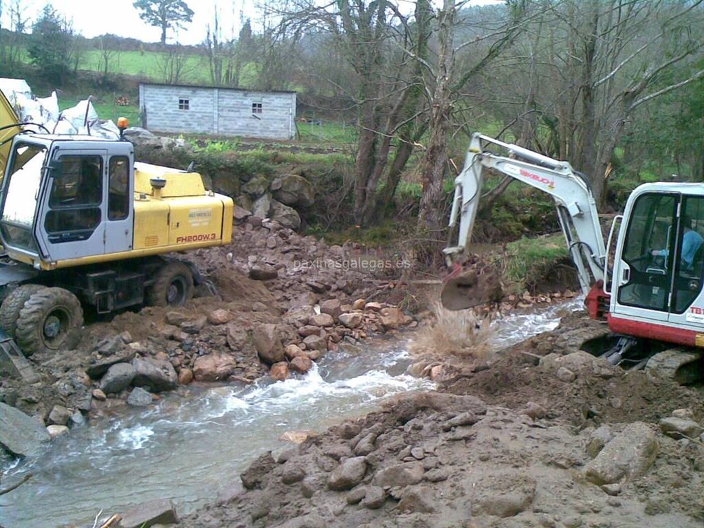 Rolle Forestal imagen 7