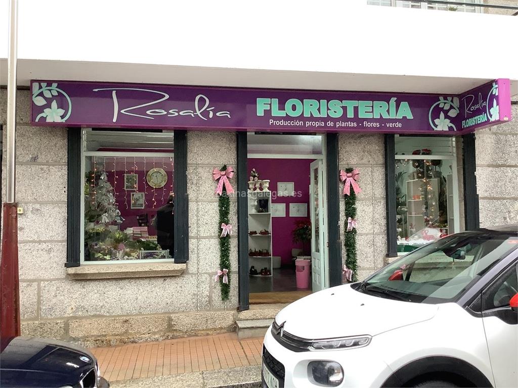 imagen principal Rosalía