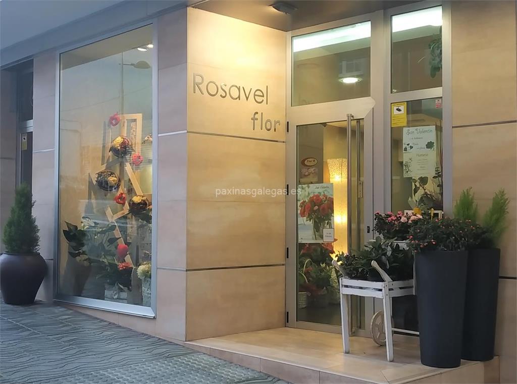 imagen principal Rosavel Flor - Flor 10 - Interflora