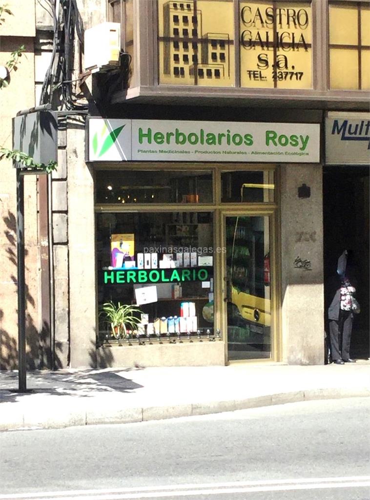 imagen principal Rosy