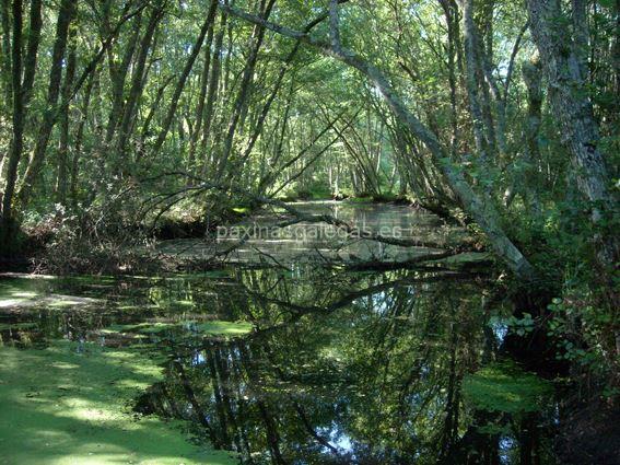 imagen principal Ruta dos Muíños do Río Loña