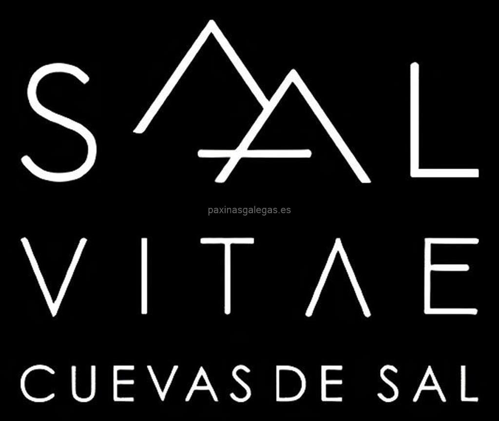 logotipo Sal Vitae (Cuevas de Sal)