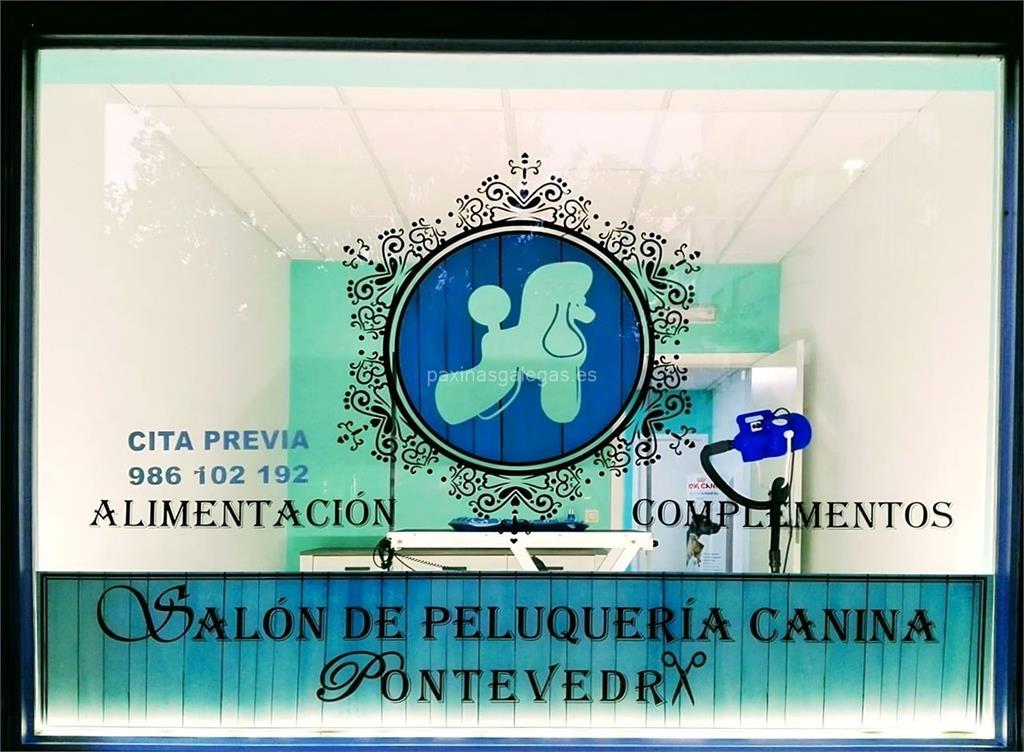 Salón de Peluquería Canina Pontevedra imagen 21