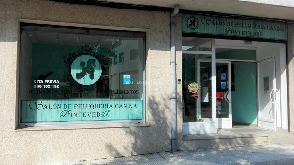 imagen principal Salón de Peluquería Canina Pontevedra