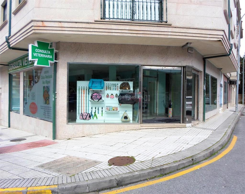 Clínica Veterinaria San Miguel Vilagarcía Clínica Veterinaria San Miguel Vilagarcía