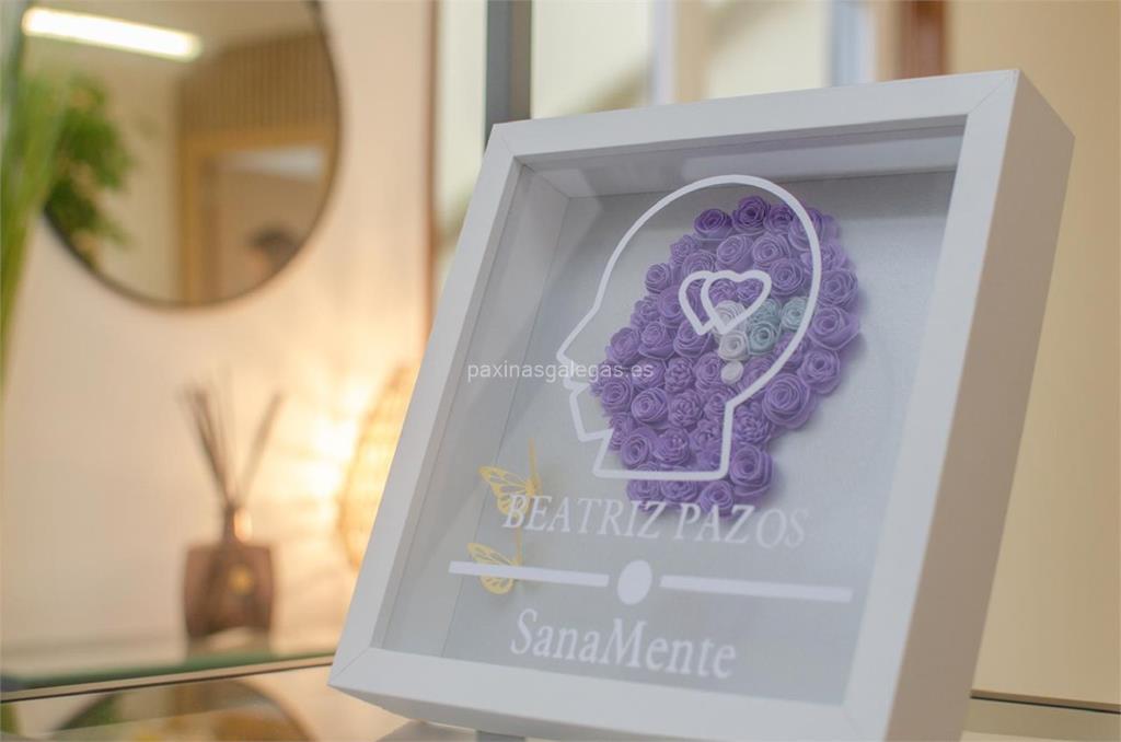 Sanamente imagen 7