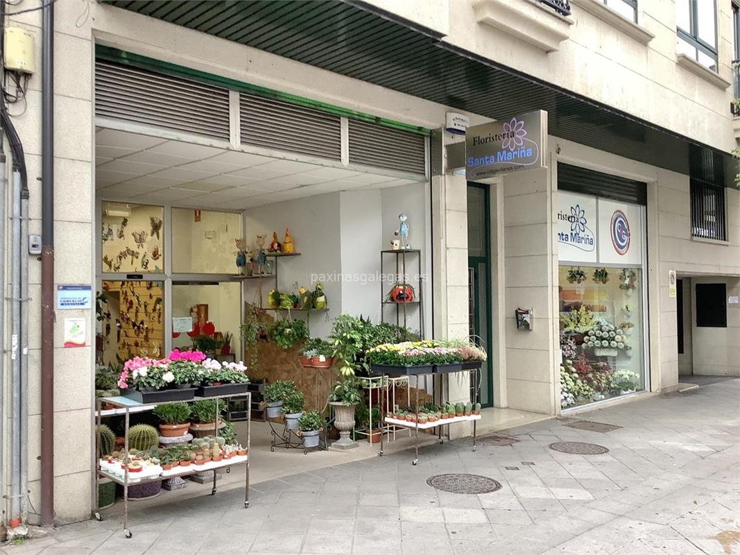 FLORISTERÍA SANTA MARIÑA FLORISTERÍA SANTA MARIÑA