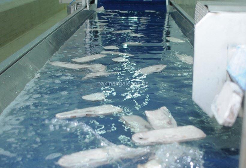 imagen principal Sargopesca, S.L